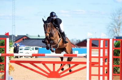 Inlägg 135 av Allround med titeln 3* 120 