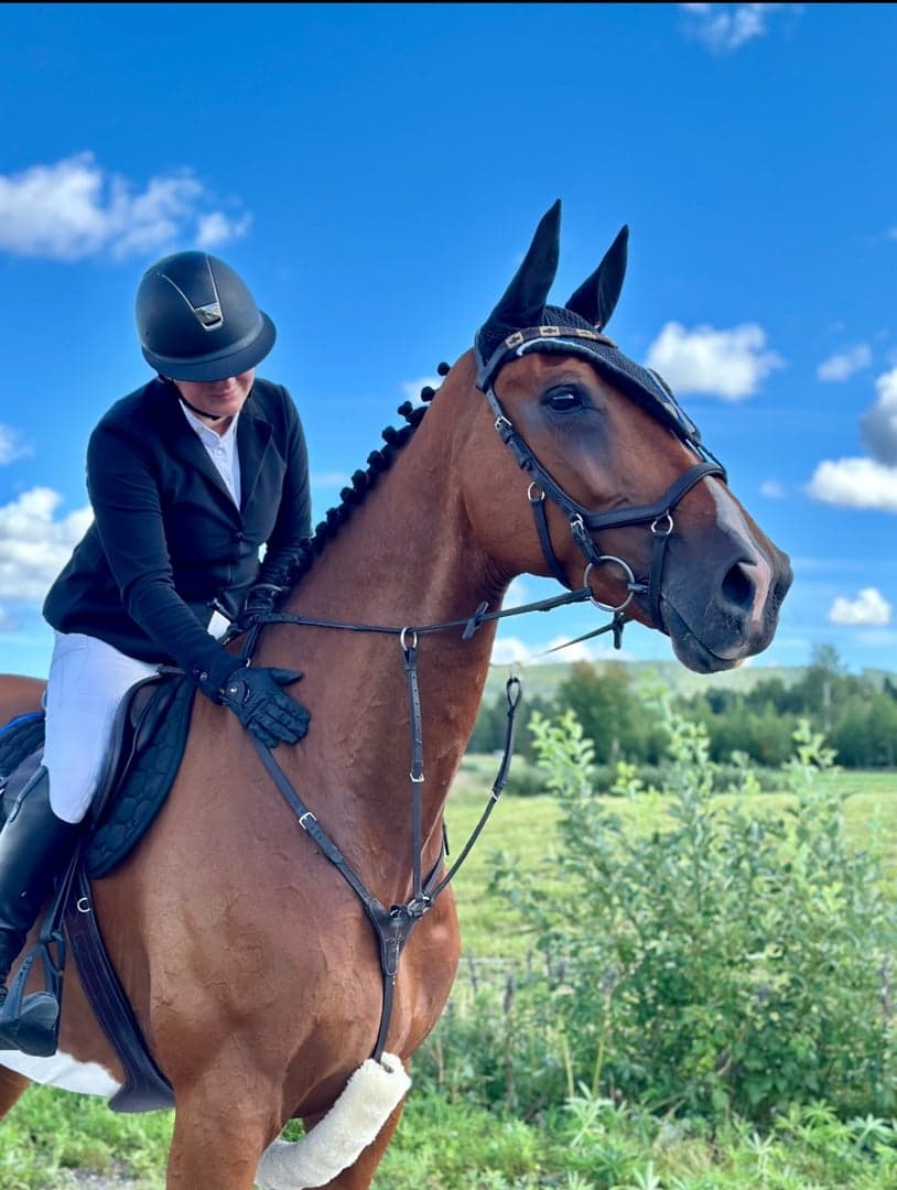 Bild 1 av Hopp/fälttävlanshäst med allt man söker! 🌟