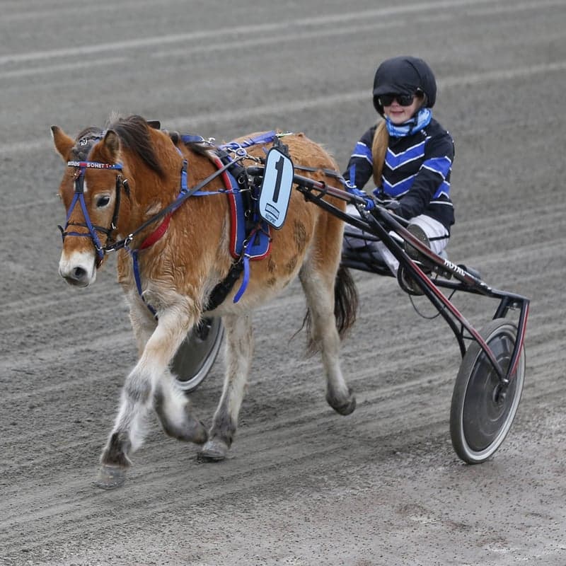 Bild 2 av Kapten Khlan