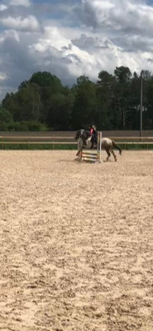 Bild 2 av placeholder text