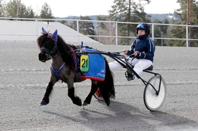 Inlägg 87 av Trav med titeln Snabbjobb