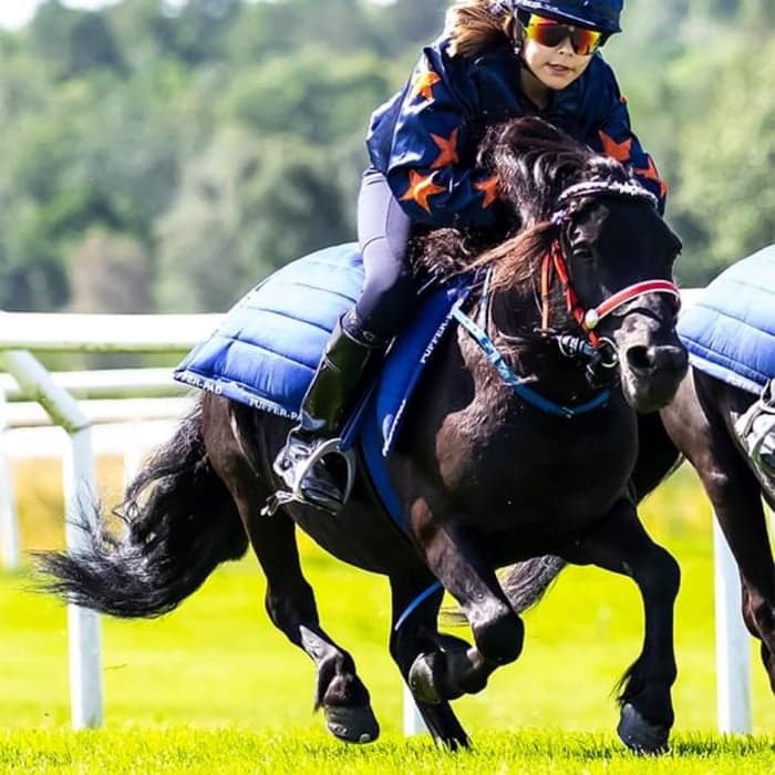 Media 1 av Gläntans Rembler