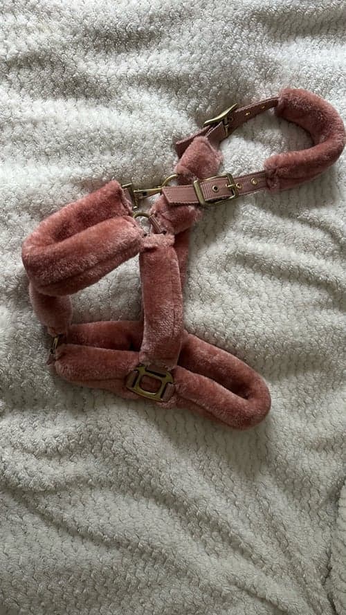Bild av Rosa grimma