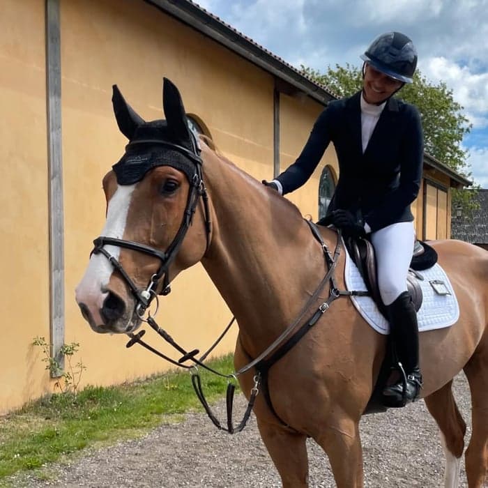 Media 3 av WP's Gwentino