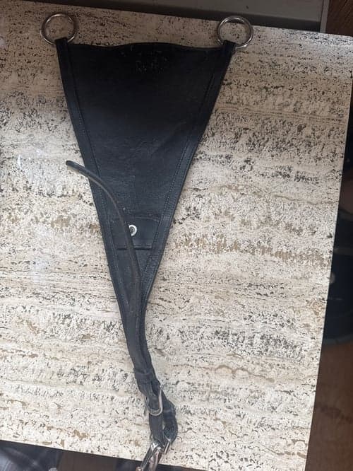 Bild av Svart martingal från Okänd