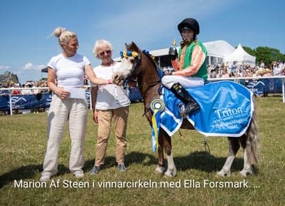 Inlägg 11 av Galopp med titeln VINST PÅ GÄRDET 