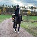 Profilbild av Nicolina Paulson