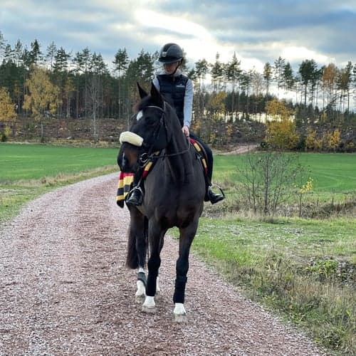 Profilbild av Nicolina Paulson