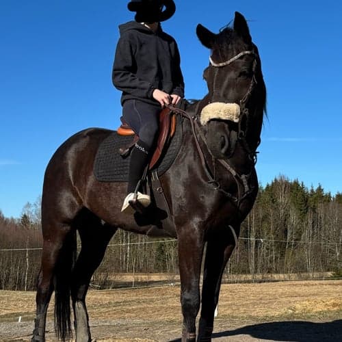 Profilbild av ebba carlsson
