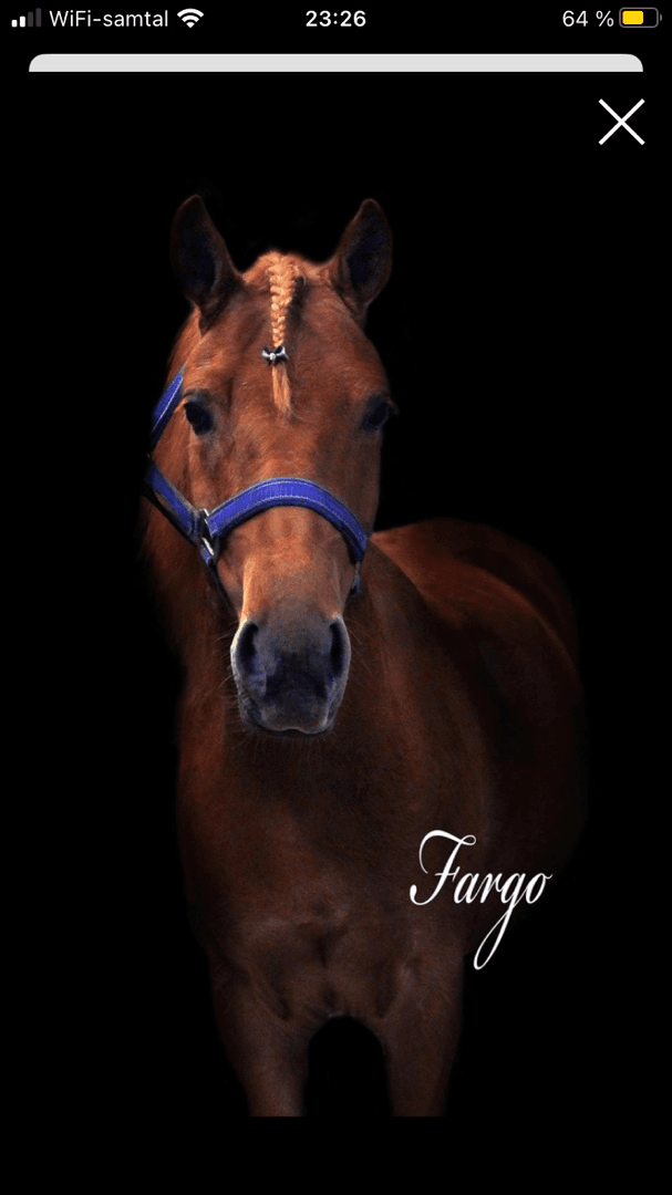 Media 1 av Fargo