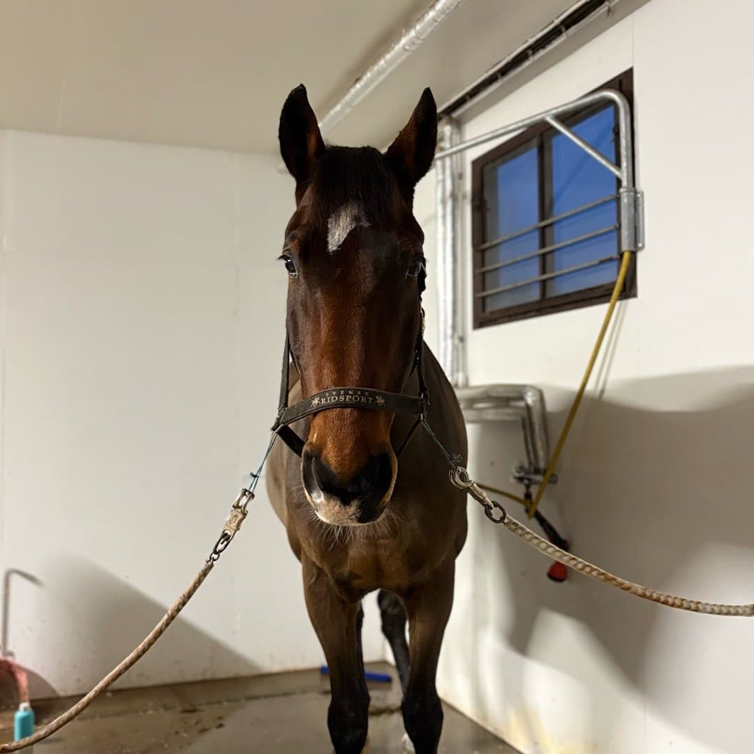 Image 1 of Stevie Wonder (SWB)