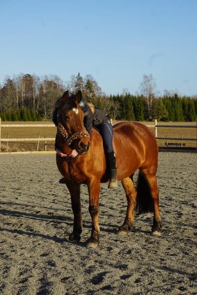 Inlägg 14 av Allround