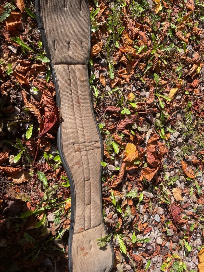 Bild 2 av Svart sadelgjord