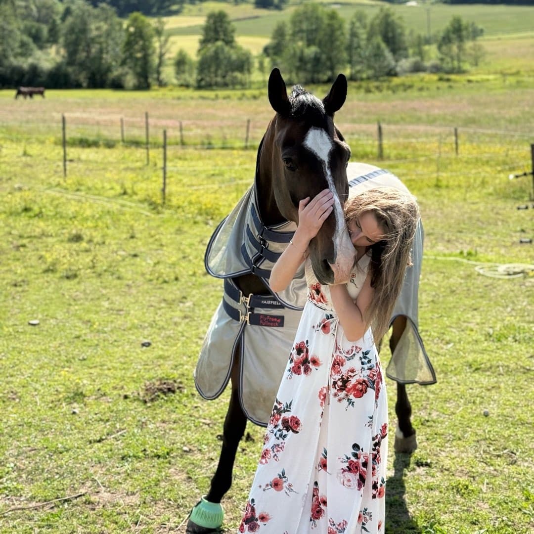 Bild 1 av Stentorps Quintaro