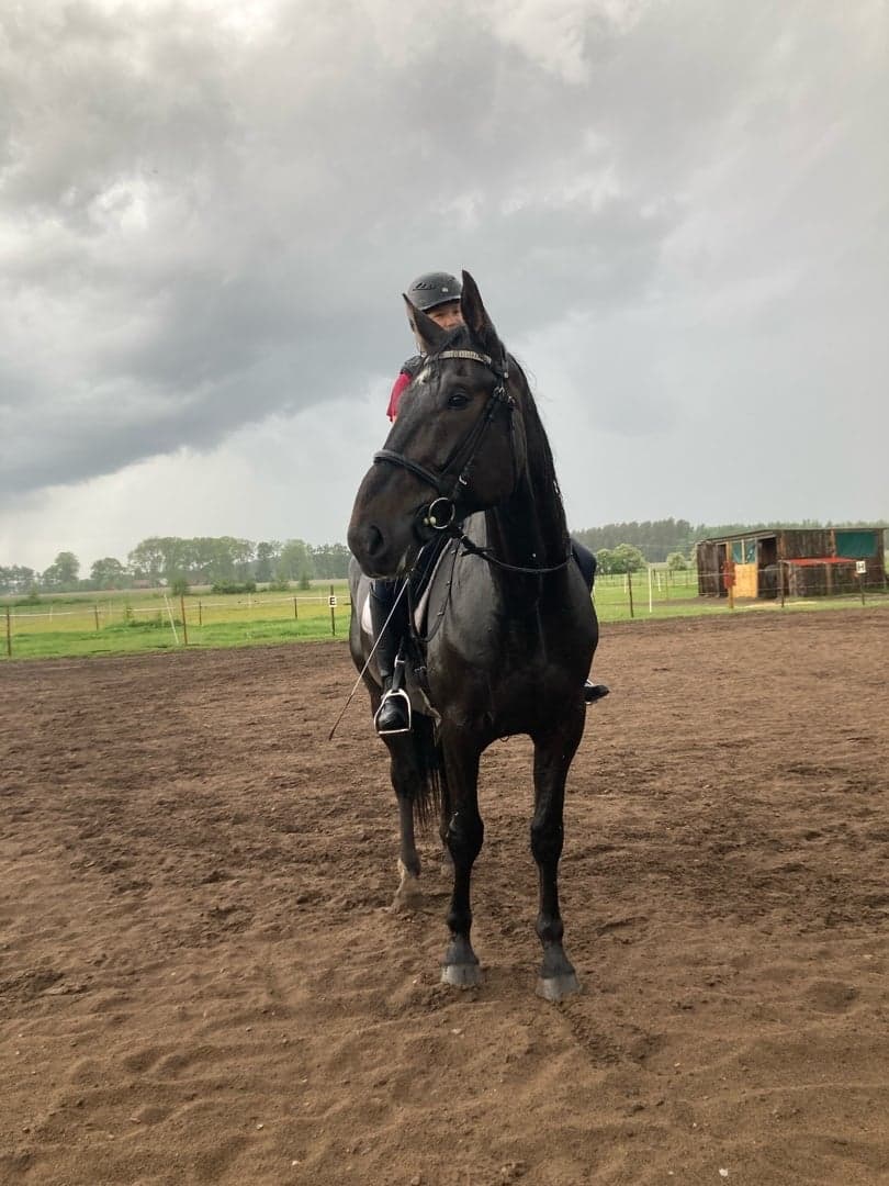 Bild 1 av J.s. Frazier