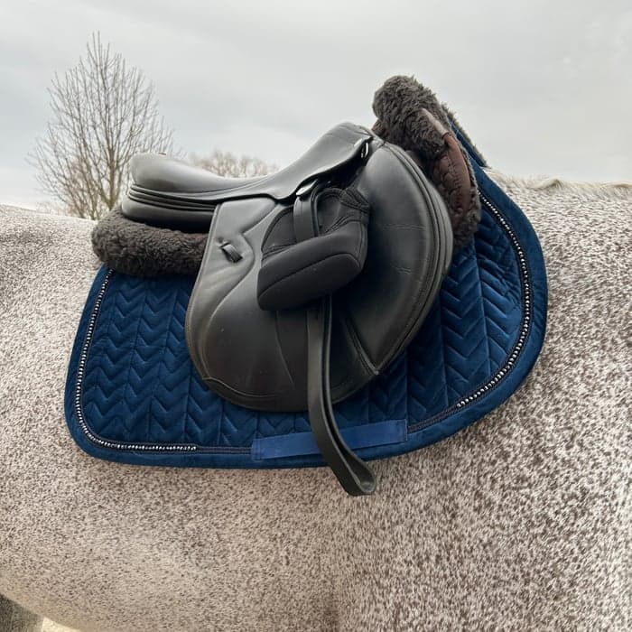 Media 2 av Mörkblått schabrak från Kentucky