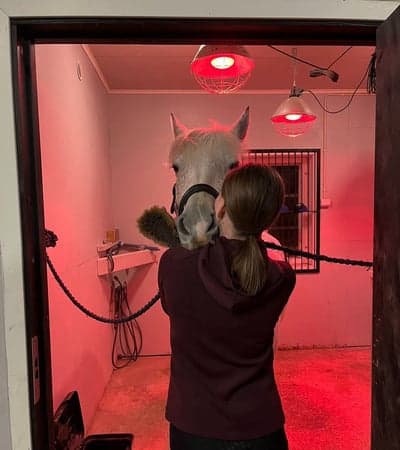 Inlägg 101 av Allround