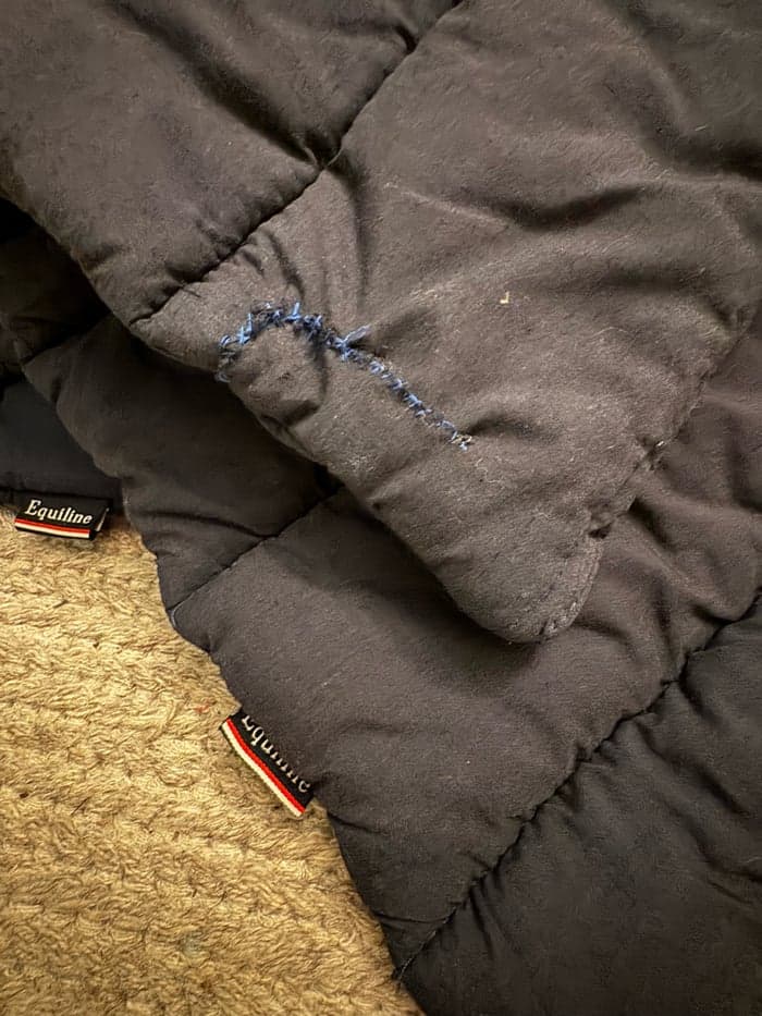 Media 3 av Mörkblå benpaddar 