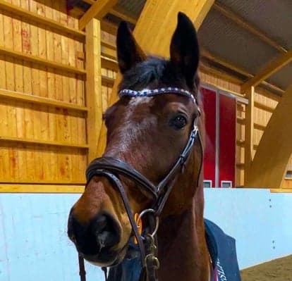 Image 1 of Carmen Chica