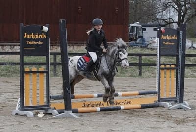 Hopptävling 