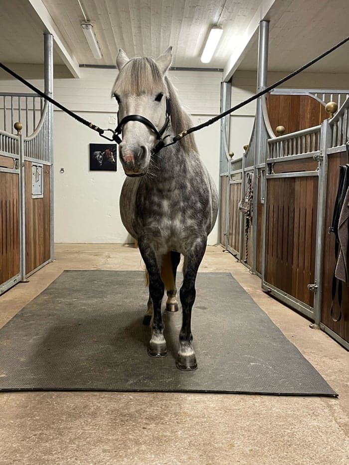 Media 6 av Key of Crystal