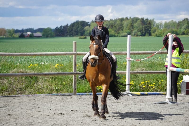 Bild 3 av amber