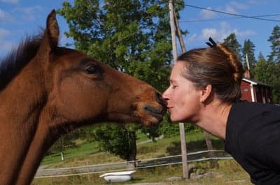 Inlägg 120 av Allround