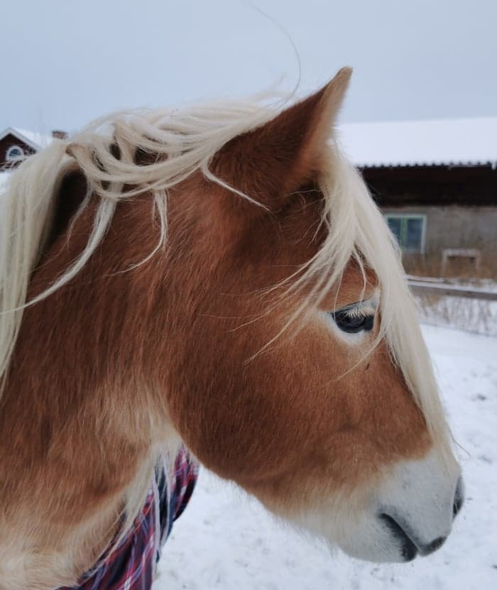 Media 13 av Trevlig kille 