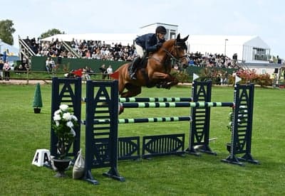 Post 11 of Belgian Warmblood with title Falsterbo ☀️