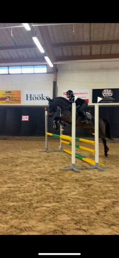 Inlägg 38 av Allround