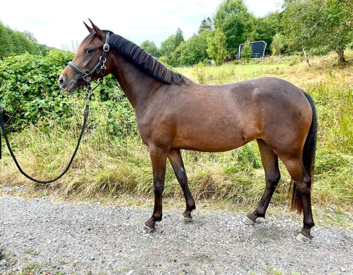 Media 4 av Framtida stjärna⭐️