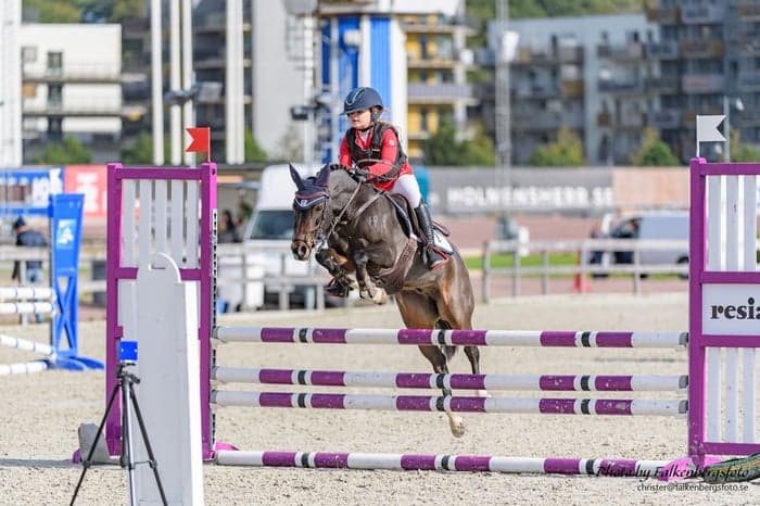 Media 1 of Skovbjers Markus