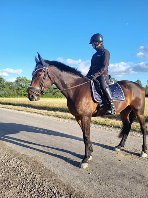 Bild av Otrolig snäll och positiv 5 åring.(Besiktad)