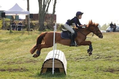 Inlägg 17 av Allround