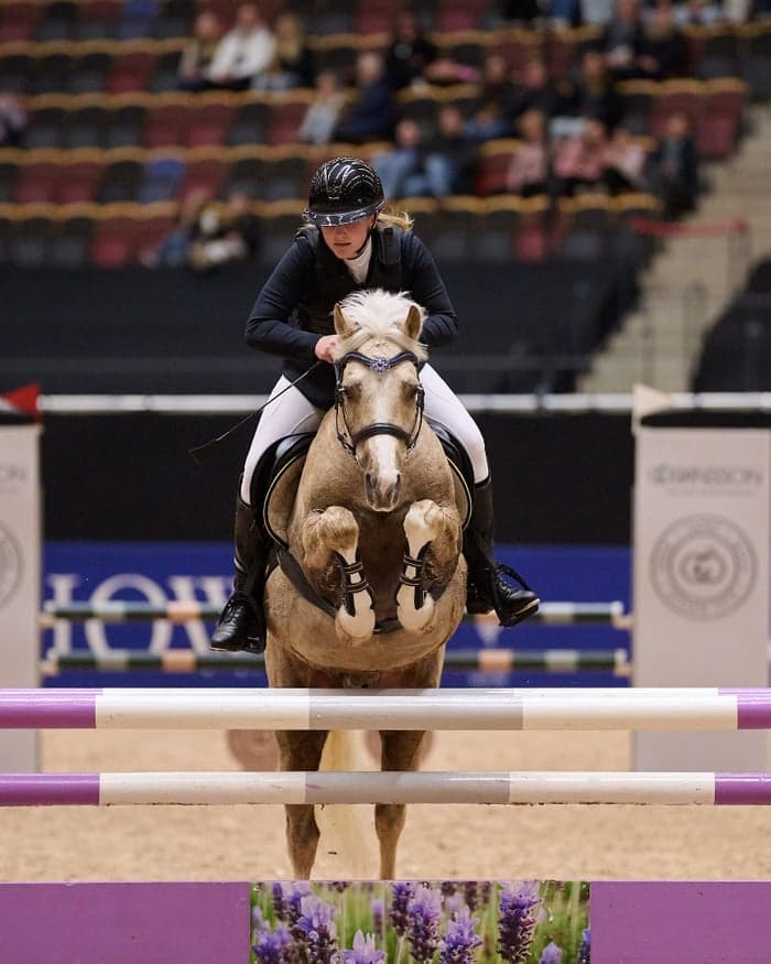 Media 11 av Nexis Lendox