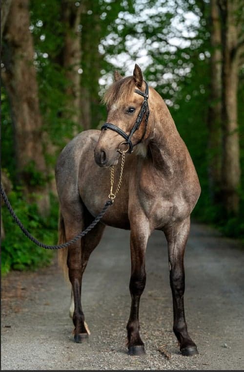 Bild av 🌟 Stjärna för framtiden 🌟