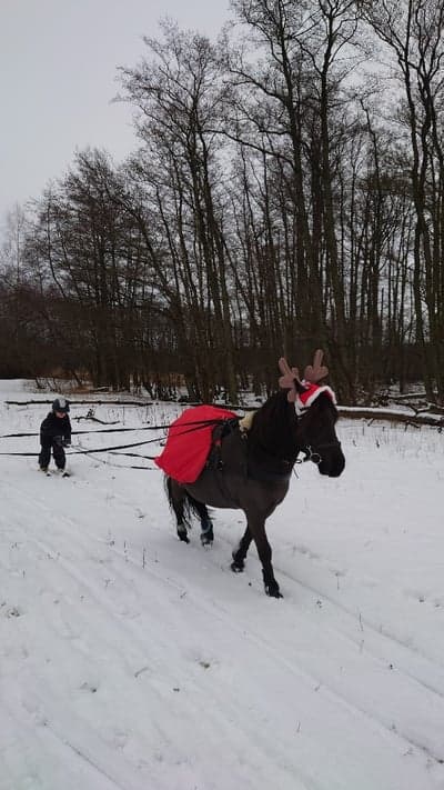 Inlägg 5 av Allround med titeln Kryddgårdens Bigarrå 