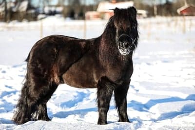 Inlägg 156 av Allround