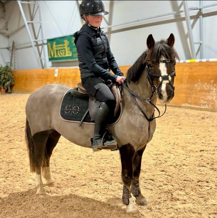 Media 2 av Ffynnonbach Ivy