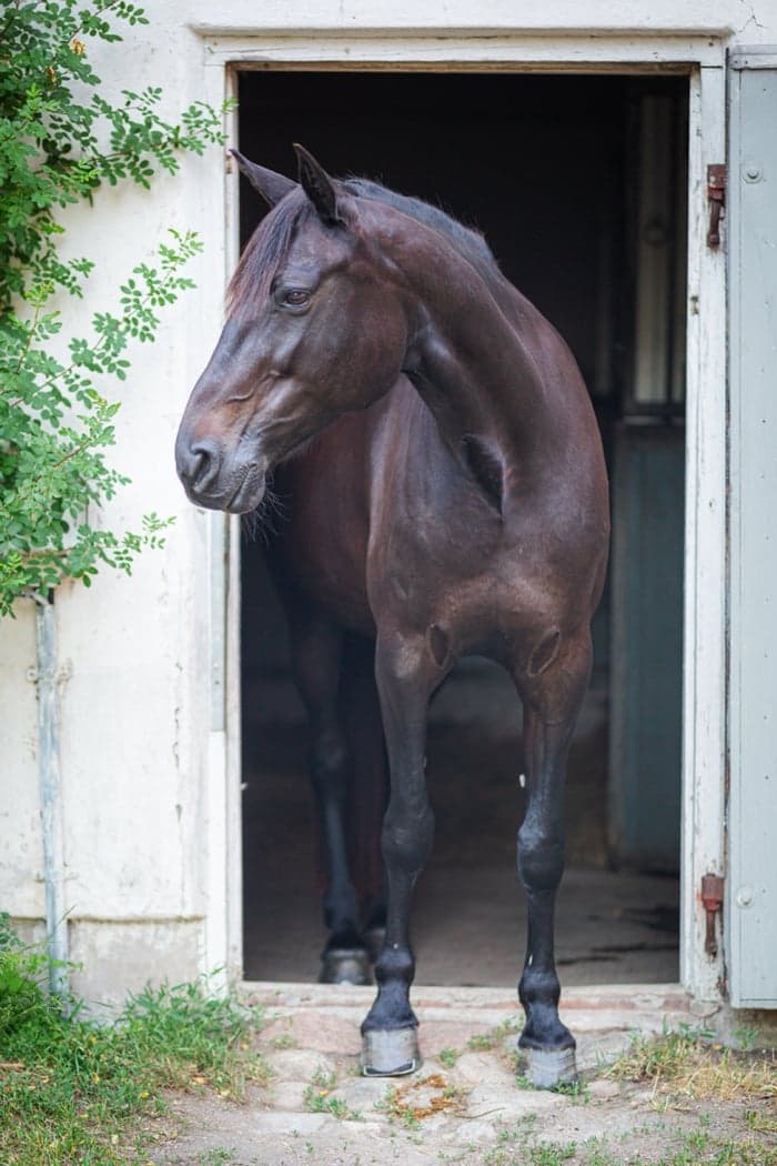 Media 1 av Jackie Bredro