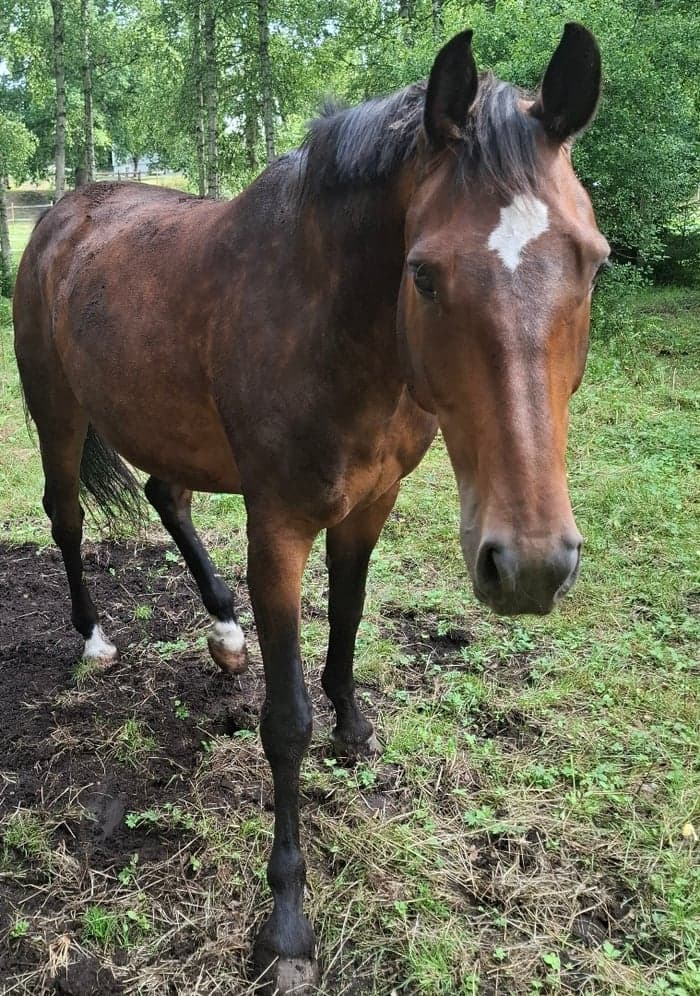 Media 1 of Mizz April