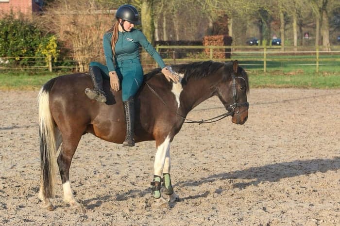 Media 1 av Sockersöt och trygg valack