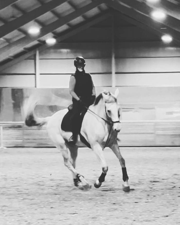 Media 1 av Orlando van't Merodehof