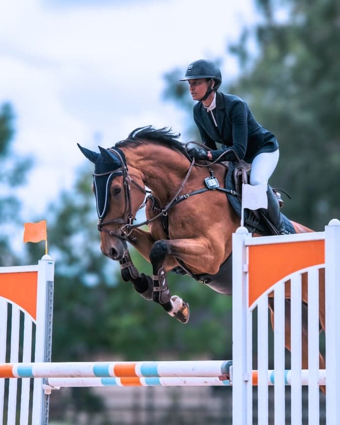 Media 1 av Professionell hjälp med försäljning av din häst