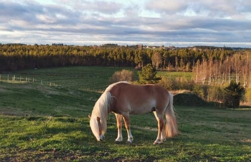 Bild av Trevlig kille 