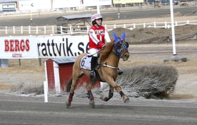 Ponnytrav 