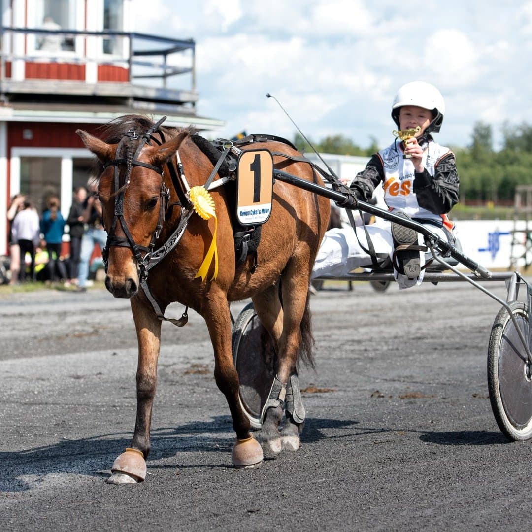 Bild 1 av placeholder text