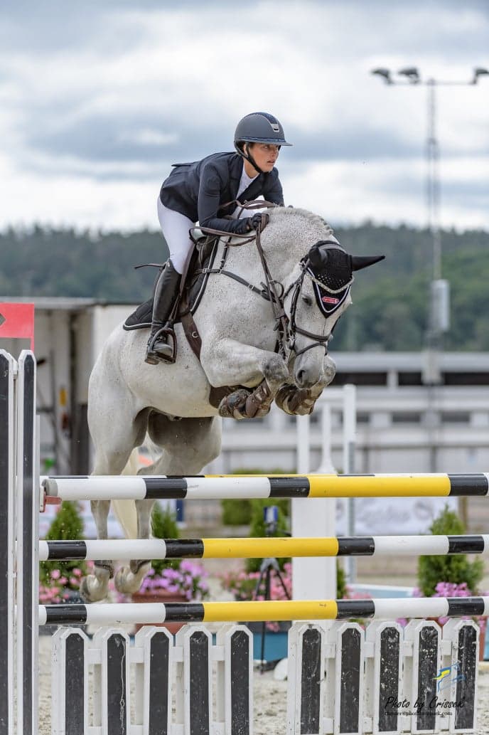 Image 1 of Chandler 9