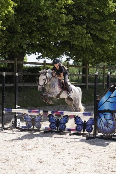 Inlägg 60 av Allround med titeln fina ponnyn🥹💗