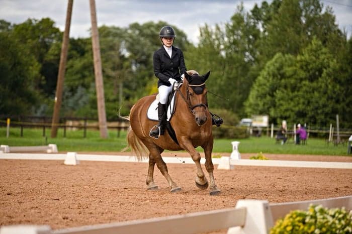 Media 2 av Valack 6 år